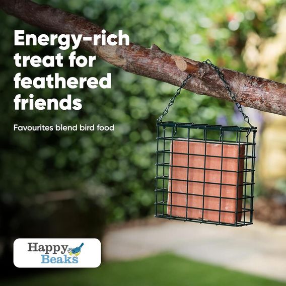 Happy Beaks - Berry Suet Blocks